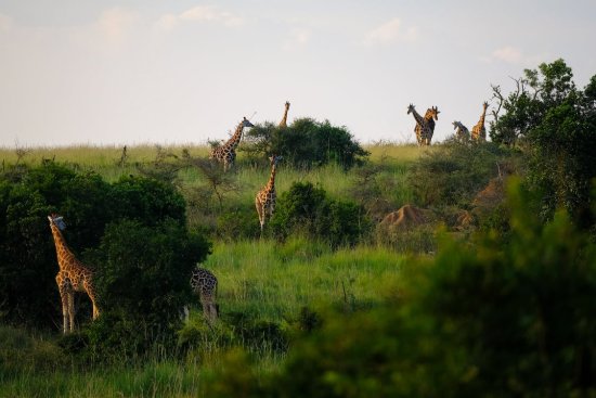 Le séjour bien-être en Afrique : un tourisme en plein essor